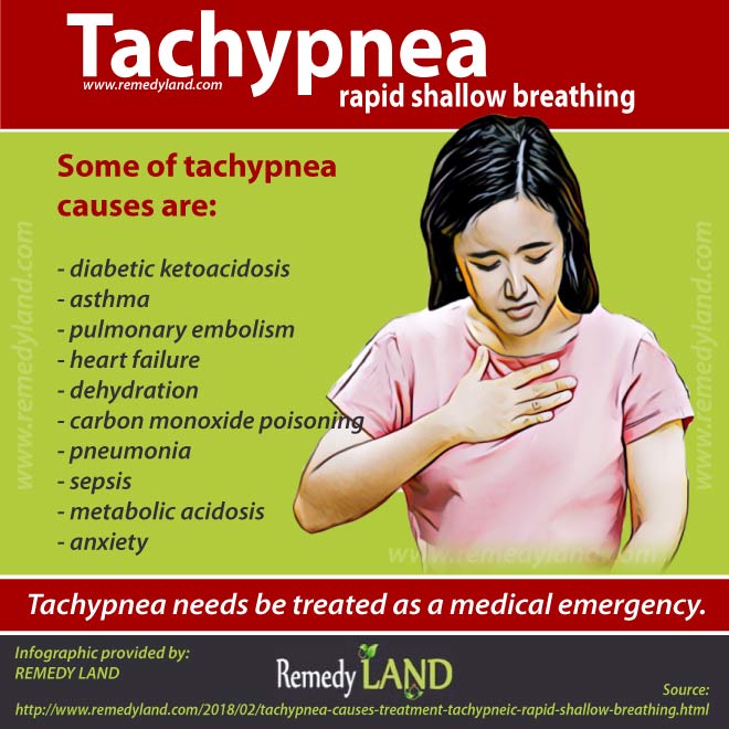 Tachypnea Causes And Treatment For Tachypneic Rapid Shallow Breathing Remedy Land